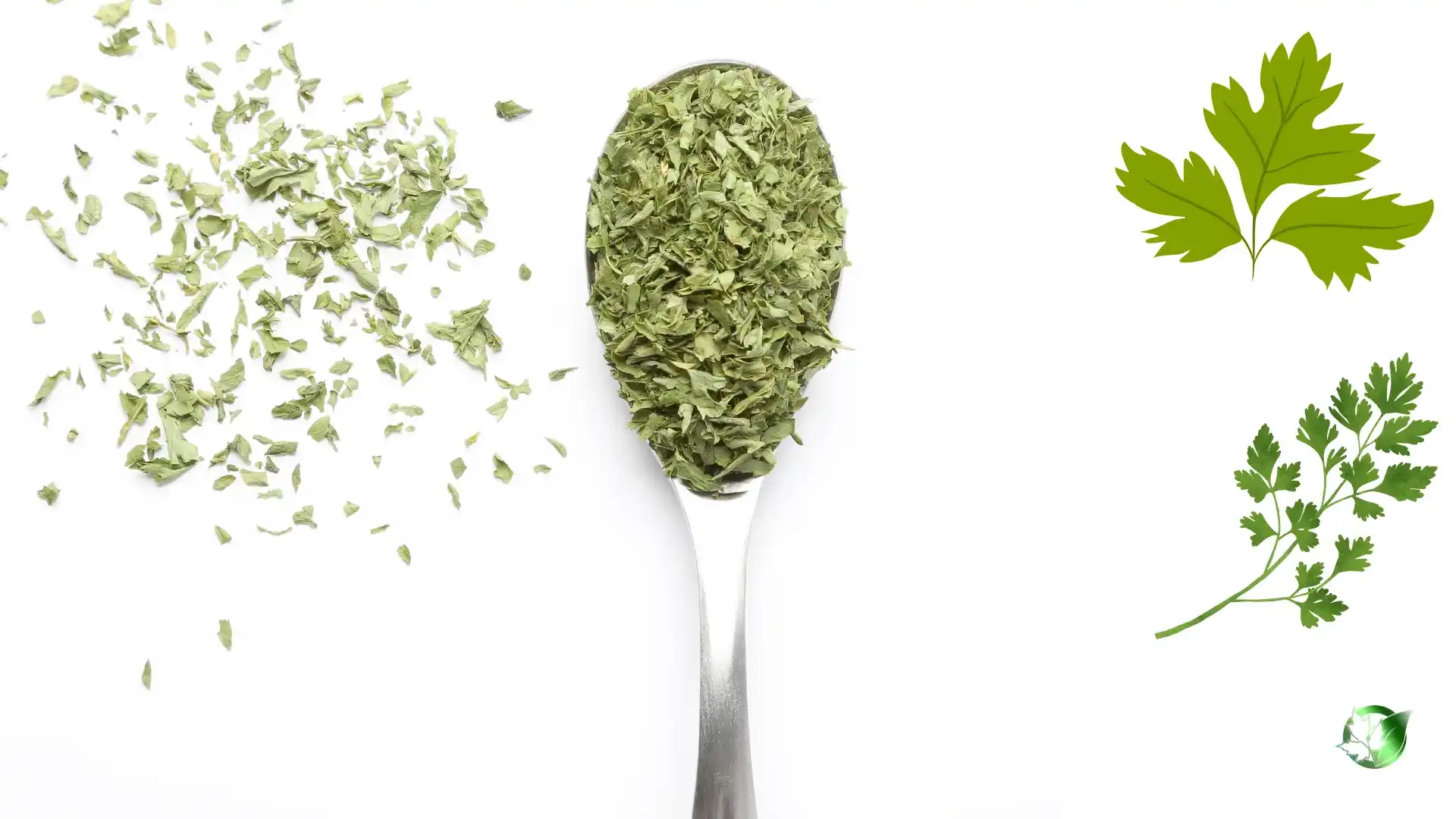 Wholesale packaging for Dried Parsley can be planned for consumer retail, hospitality supply, private-label, or production-line distribution.